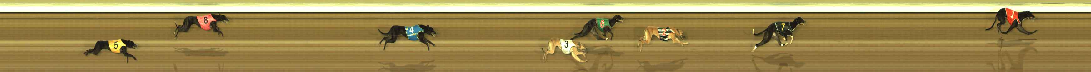 Race result finish photo